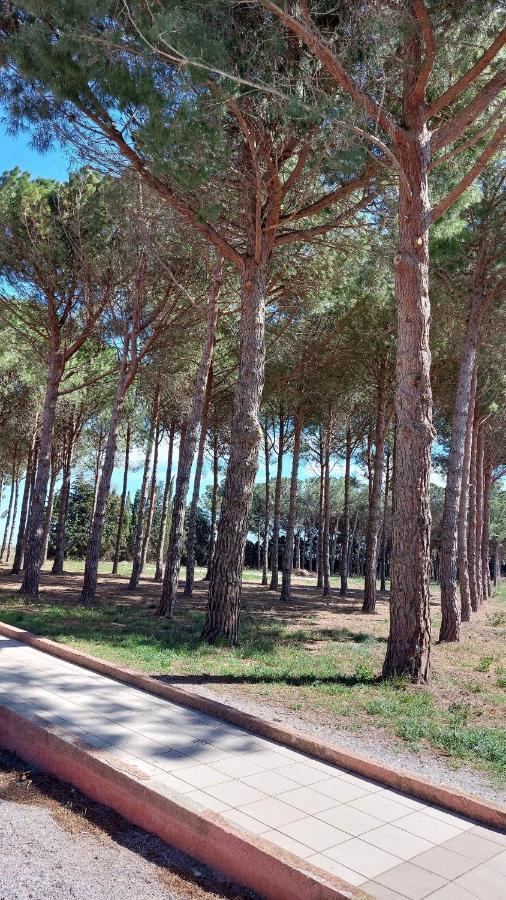Cocon De Douceur A 10 Min De La Plage Alenya Bagian luar foto